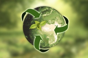 Medio ambiente y empresas: Requisitos y legislación