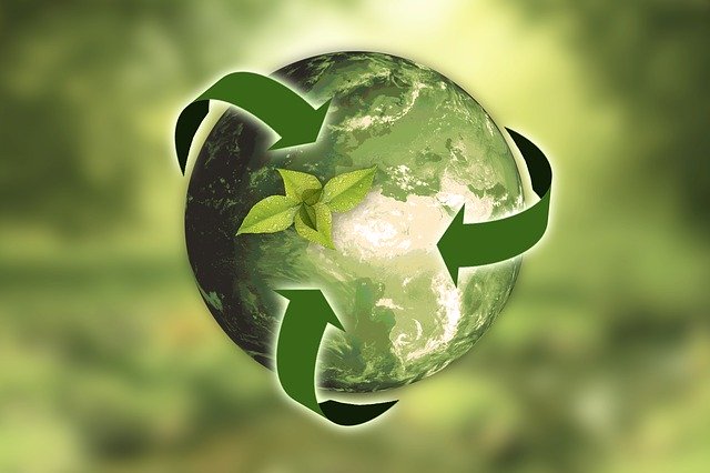 Medio ambiente y empresas: Requisitos y legislación